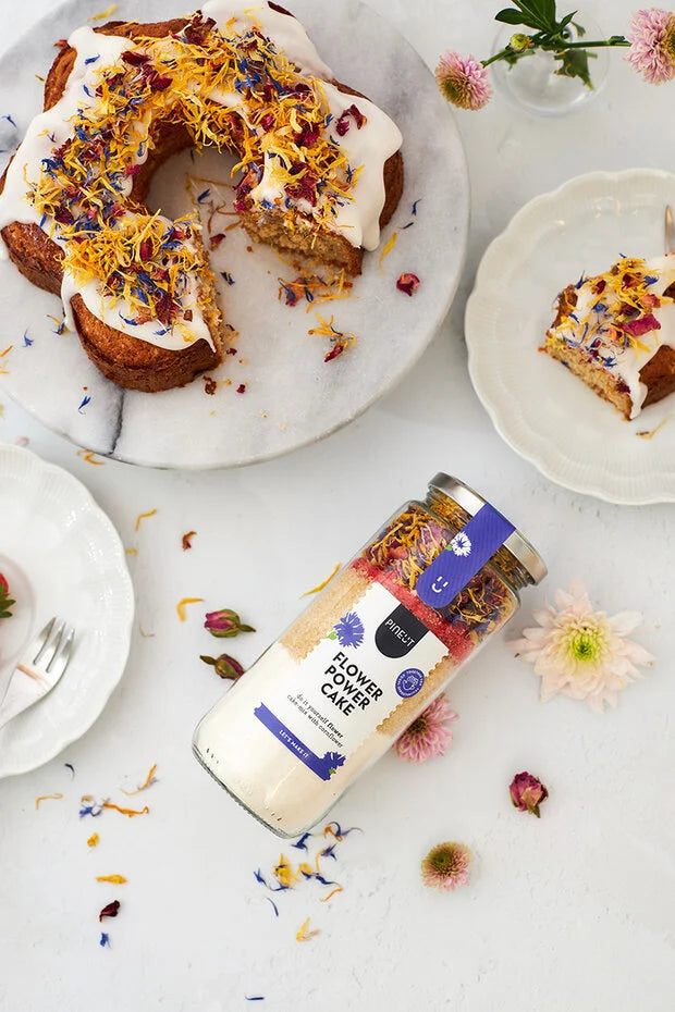 Pineut Cake | Pot | Flower Power Cake