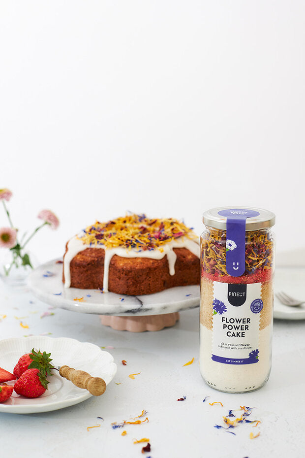 Pineut Cake | Pot | Flower Power Cake