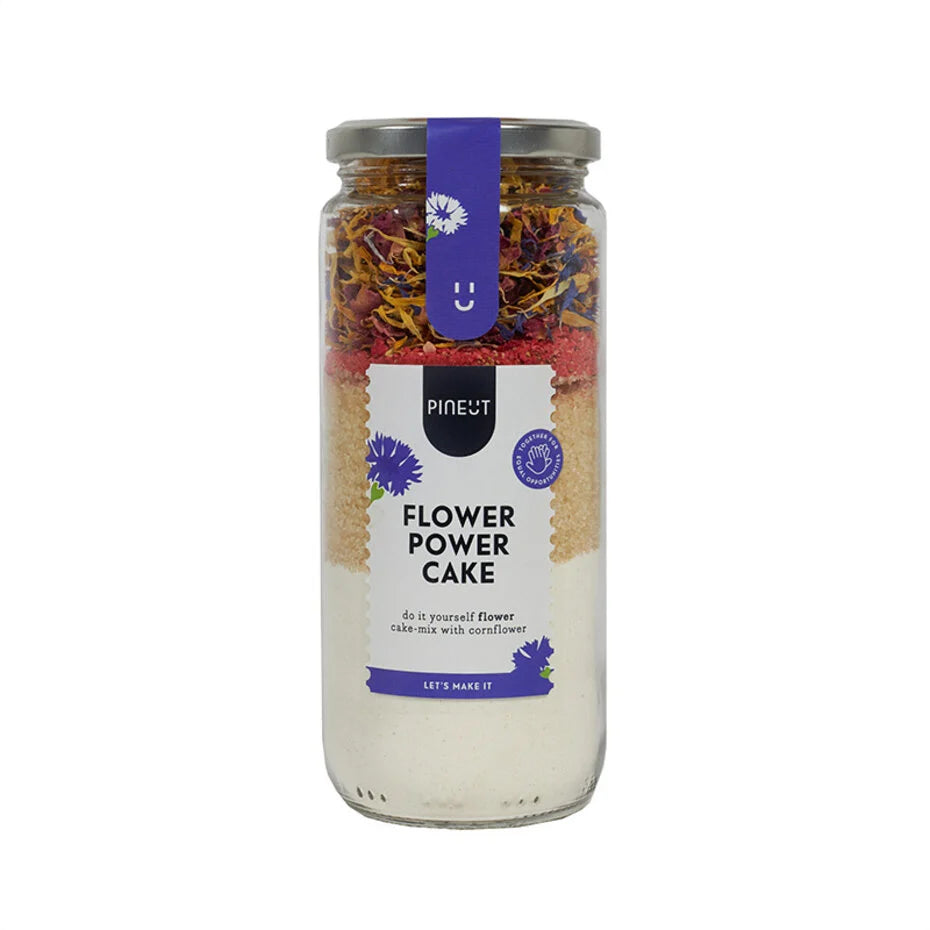 Pineut Cake | Pot | Flower Power Cake